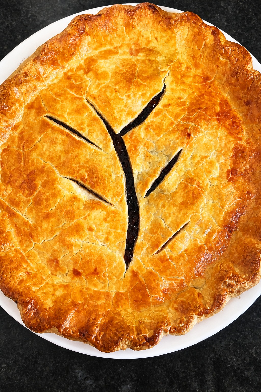 A golden-brown mincemeat pie with a decorative tree-patterned crust venting on a white plate